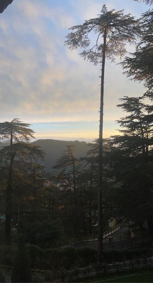 The Edgeworth Bed & Breakfast Shimla Bagian luar foto